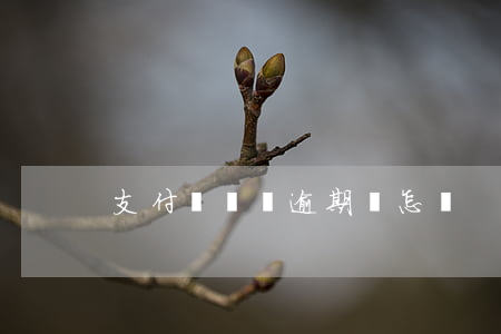 支付寶賬單逾期會怎樣