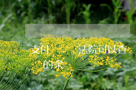 支付寶賬戶法院可以查詢嗎(法院能查到支付寶的余額寶嗎)