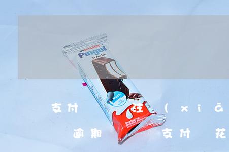 支付寶賬戶注銷(xiāo)了還能查到花唄逾期記錄嗎(支付寶花唄消費(fèi)記錄刪除了還能查到嗎)