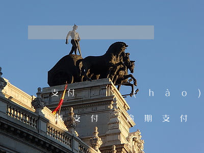 支付寶賬號(hào)因逾期支付功能被限制(支付寶逾期支付寶能用嗎)