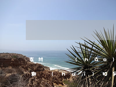 支付寶賬號(hào)有一筆逾期 支付寶逾期會(huì)扣另一個(gè)支付寶賬號(hào)嗎?