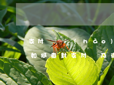 支付寶賬號(hào)法院可以查封嗎(法院如何查封支付寶及微信)