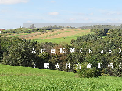 支付寶賬號(hào)逾期轉(zhuǎn)賬(支付寶逾期轉(zhuǎn)賬自動(dòng)扣款嘛)