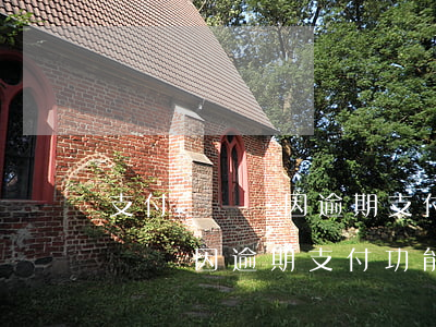 支付寶賬號因逾期支付功能被限制-支付寶賬號因逾期支付功能被限制怎么辦