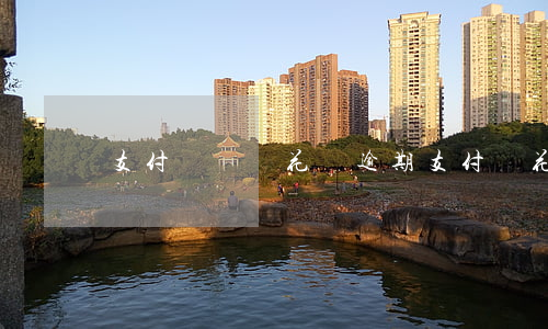 支付寶賬號花唄逾期(支付寶花唄嚴重逾期)