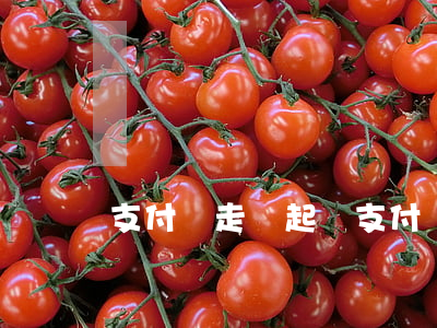 支付寶走訪起訴(支付寶走訪起訴是真的嗎)