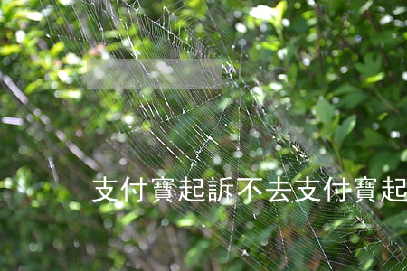 支付寶起訴不去 支付寶起訴不去應訴