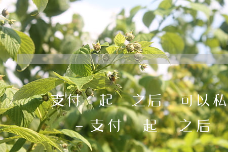 支付寶起訴之后還可以私下協(xié)商嗎-支付寶起訴之后還可以私下協(xié)商嗎怎么辦