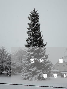 支付寶起訴了,錢還了,還用去應(yīng)訴嘛（支付寶起訴還完錢了）