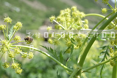 支付寶起訴傳票(支付寶傳票寄到我這了怎么辦)
