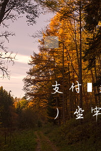 支付寶起訴判刑(支付寶起訴以后會(huì)坐牢嗎?)