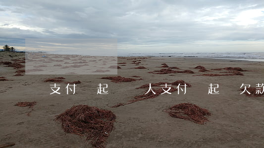 支付寶起訴別人(支付寶起訴欠款人)