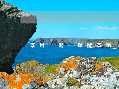 支付寶起訴功能(支付寶起訴成功案例)