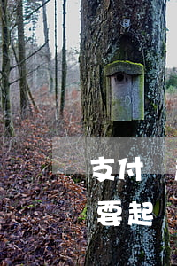 支付寶起訴協(xié)商成功 支付寶逾期要起訴我如果協(xié)商還款后可以不起訴嗎