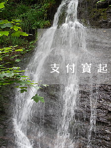 支付寶起訴合同在哪里查（支付寶起訴合同）