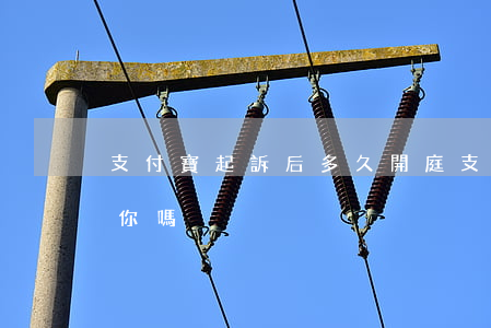 支付寶起訴后多久開庭(支付寶起訴前會通知你嗎)