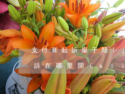 支付寶起訴屬于簡(jiǎn)易(支付寶起訴在哪里開(kāi)庭)