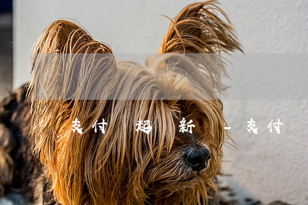 支付寶起訴新聞-支付寶提起訴訟