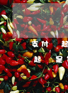 支付寶起訴是網(wǎng)上法庭(支付寶起訴是第三方還是支付寶起訴)