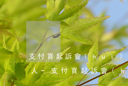 支付寶起訴會(huì)不會(huì)抓人-支付寶起訴會(huì)有案底嗎