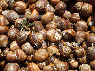 支付寶起訴會(huì)被凍結(jié)嗎(支付寶起訴會(huì)被凍結(jié)嗎)