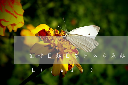 支付寶起訴有什么后果（起訴支付寶侵犯隱私權(quán)）