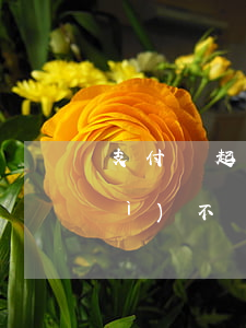 支付寶起訴有起訴的嗎(支付寶起訴會(huì)不會(huì)坐牢)