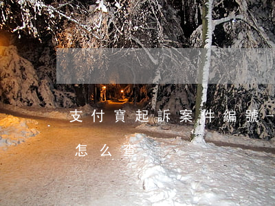 支付寶起訴案件編號-支付寶起訴案件編號怎么查