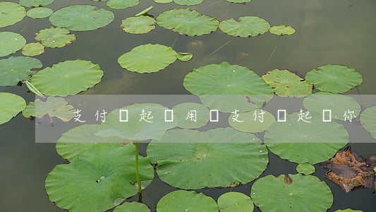 支付寶起訴用戶(支付寶起訴你)