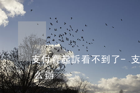 支付寶起訴看不到了-支付寶起訴沒錢還怎么辦