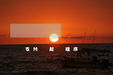 支付寶起訴程序