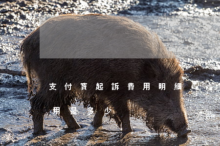 支付寶起訴費用明細(xì) 支付寶起訴費用是多少