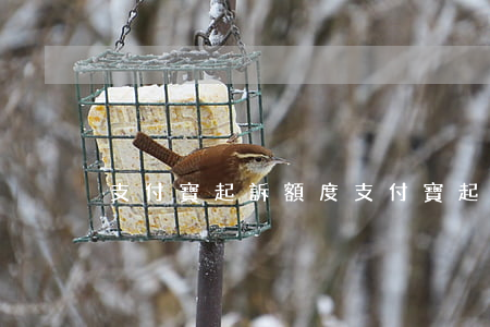 支付寶起訴額度(支付寶起訴率高不高)