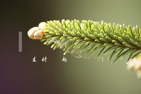 支付寶起訴騰訊1億-支付寶起訴騰訊1億