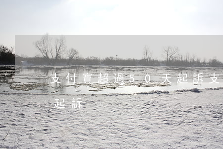 支付寶超過50天起訴(支付寶預(yù)期起訴)