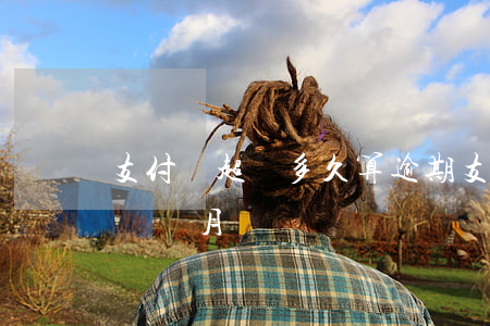 支付寶超過多久算逾期(支付寶最長可以逾期幾個月)