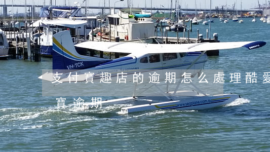 支付寶趣店的逾期怎么處理（酷愛趣店在支付寶逾期）