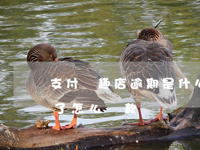 支付寶趣店逾期是什么意思-支付寶趣店沒了怎么還款