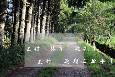 支付寶跟京東逾期了會(huì)上門嗎 京東支付寶逾期三四年了