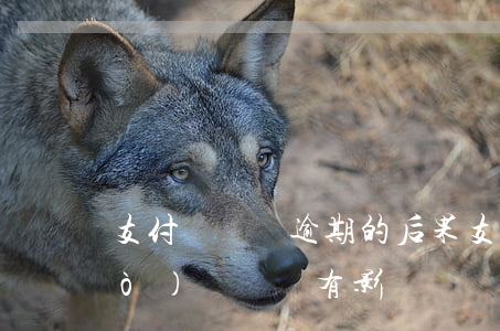 支付寶車貸逾期的后果 支付寶逾期過(guò)辦車貸有影響嗎