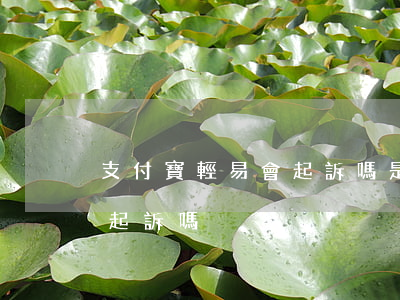 支付寶輕易會起訴嗎是真的嗎（支付寶輕易會起訴嗎）