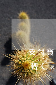 支付寶轉(zhuǎn)賬不還起訴 支付寶轉(zhuǎn)賬 欠錢不還