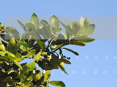 支付寶轉(zhuǎn)賬可以起訴么(支付寶轉(zhuǎn)賬可以起訴法院的證據(jù)嗎)