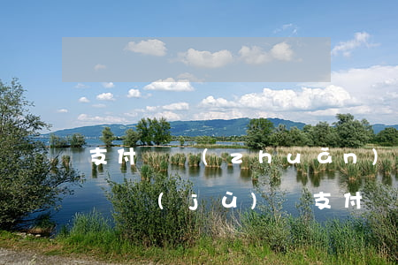 支付寶轉(zhuǎn)賬可以起訴法院的證據(jù)嗎(支付寶轉(zhuǎn)賬記錄可以做為起訴憑證嗎)