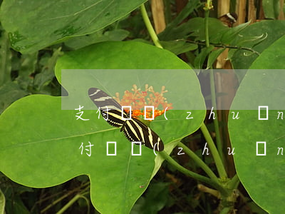 支付寶轉(zhuǎn)賬能作為起訴-支付寶轉(zhuǎn)賬可以起訴法院的證據(jù)嗎