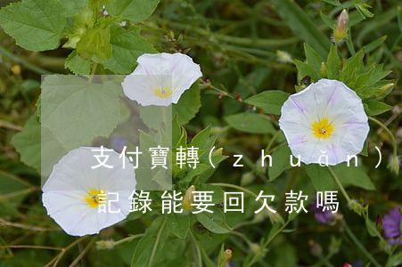 支付寶轉(zhuǎn)賬記錄和微信聊天記錄能要回欠款嗎