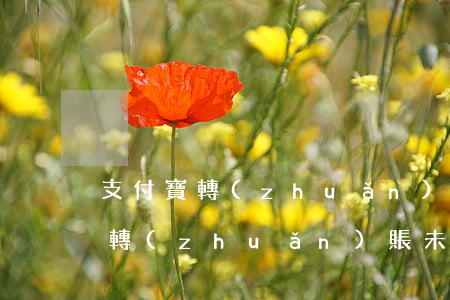 支付寶轉(zhuǎn)賬逾期未領 支付寶轉(zhuǎn)賬未領取