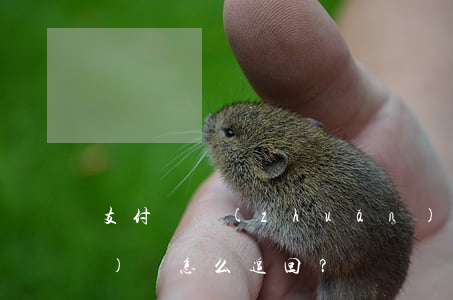 支付寶轉(zhuǎn)錢轉(zhuǎn)錯，怎么追回？