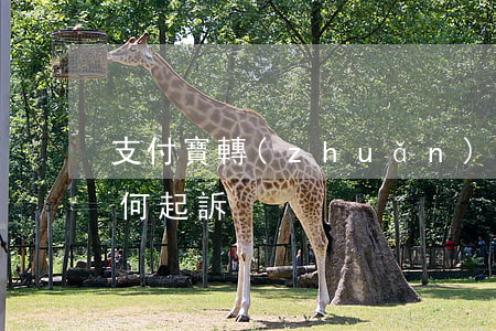支付寶轉(zhuǎn)錯(cuò)賬如何起訴
