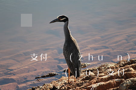 支付寶轉(zhuǎn)錯(cuò)賬起訴證據(jù)(支付寶轉(zhuǎn)賬錯(cuò)誤起訴能贏嗎)
